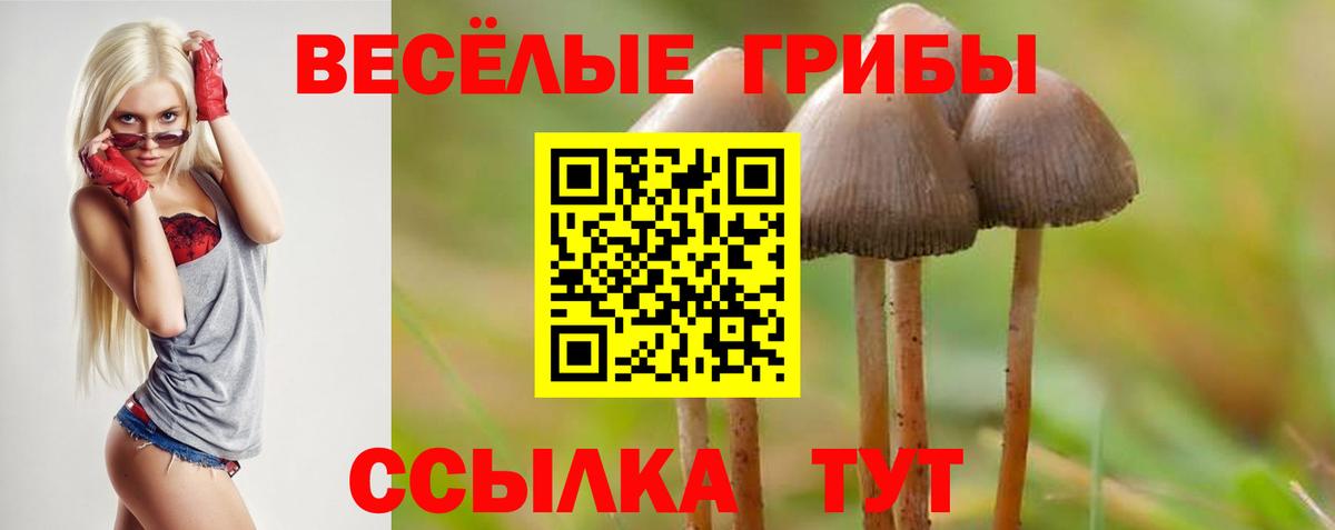 Нижнеудинск  Галлюциногенные грибы прущие грибы  Псилоцибиновые грибы прущие грибы  Вход с VPN 
